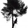 Иконка канала Arborist 74
