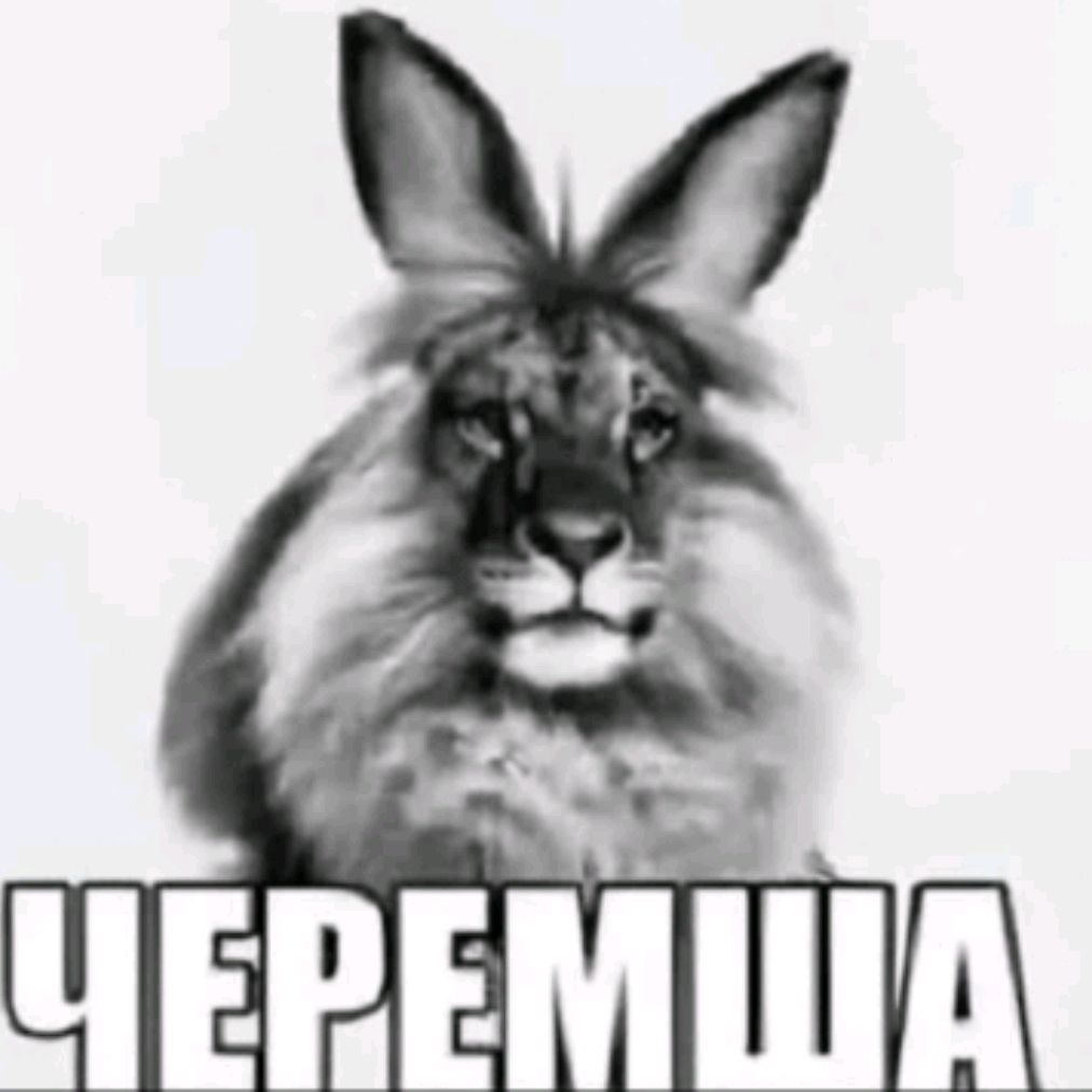 Иконка канала 🦁Черемша🐇[Пэ]