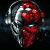 Иконка канала channel67998533