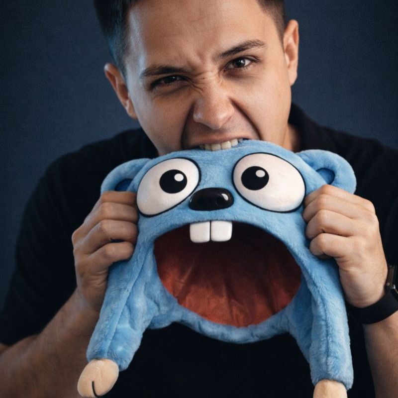 Иконка канала Ментор Golang Нияз