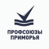 Иконка канала Профсоюзы Приморья