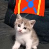Иконка канала Арчи