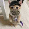 Иконка канала Бледный Челик