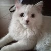 Иконка канала channel78248871