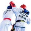 Иконка канала Школа Тхэквондо ГТФ