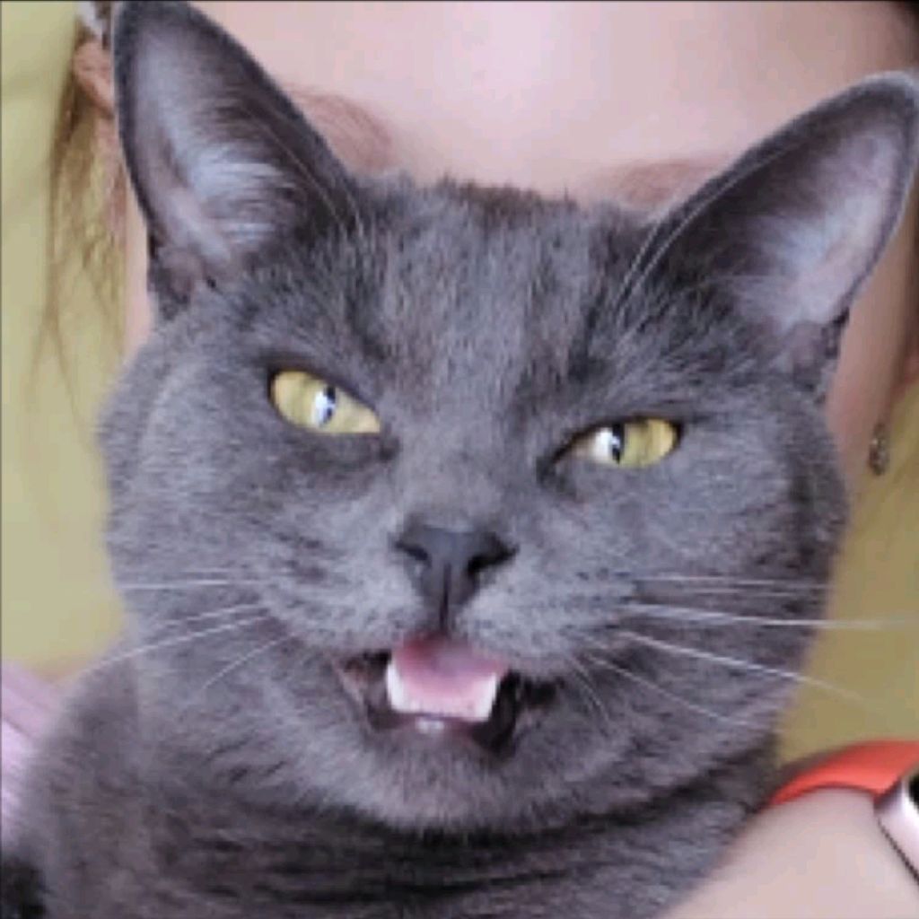 Иконка канала 💋Котик Афинёк🎀