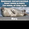 Иконка канала АКТО228