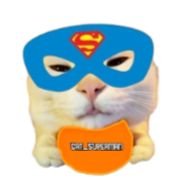 Иконка канала Cat_Superman🐾