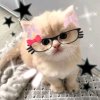 Иконка канала Полина