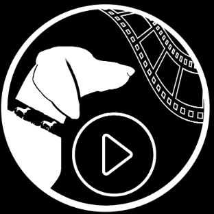 Иконка канала channel78320645