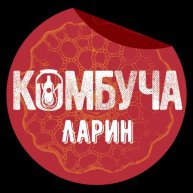 Иконка канала КОМБУЧА | ЛАРИН