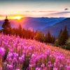 Иконка канала Лайк Амира