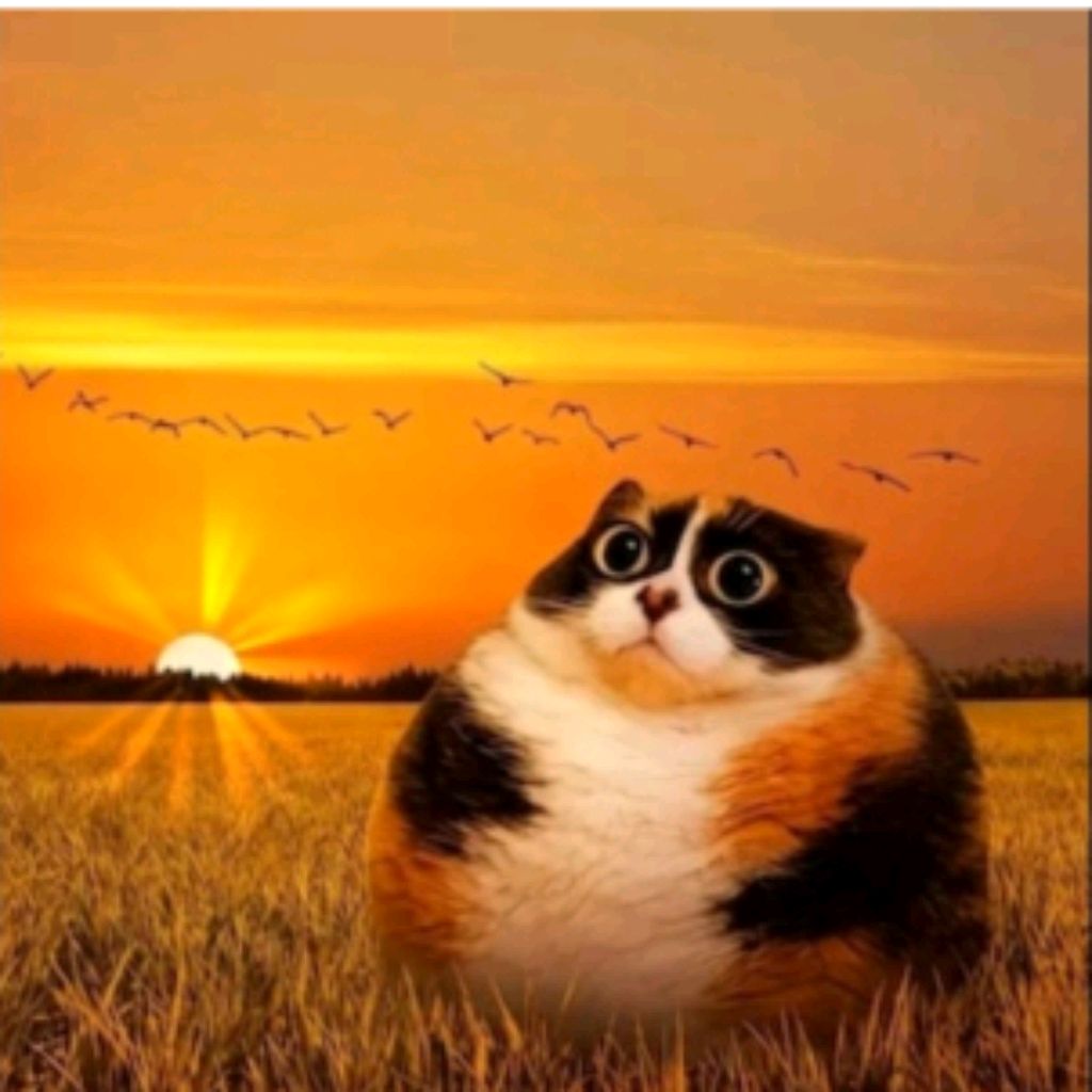Иконка канала 🇷🇺꧁★ко𝚝о🆂ть man tf2_Ru🔴★꧂🥔