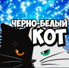 Иконка канала Черно-Белый Кот