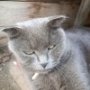Иконка канала ★Мияка_стор★