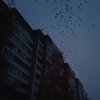 Иконка канала lampochka