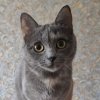 Иконка канала Николай Иванович П