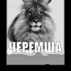 Иконка канала Матвифлекс