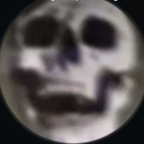 Иконка канала 💀SKELETON💀