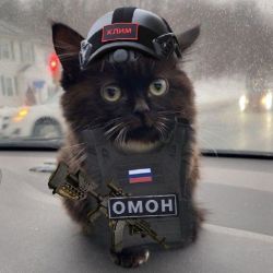 Иконка канала Демид Колесников