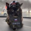 Иконка канала Демид Колесников