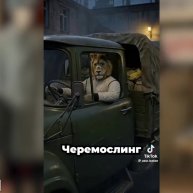 Иконка канала черемослинг!