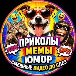 Иконка канала ПРИКОЛЫ | МЕМЫ | ЮМОР | СМЕШНЫЕ ВИДЕО ДО СЛЕЗ