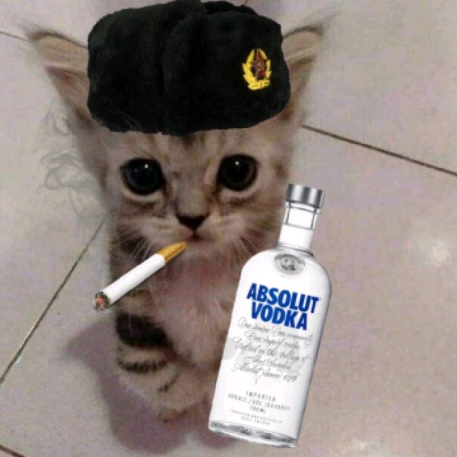 Аватар автора