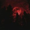 Иконка канала Zloi_Angelock