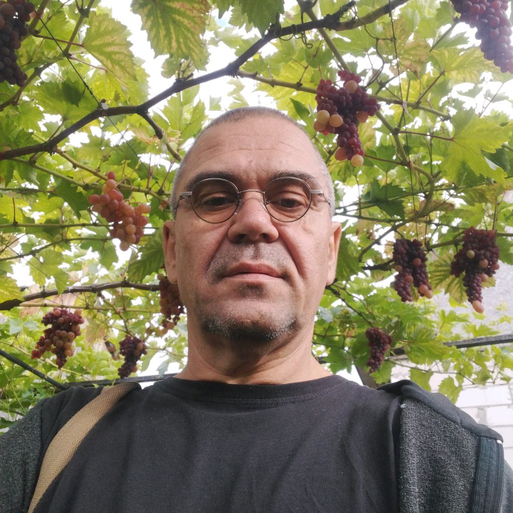 Иконка канала Брянский сад.