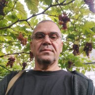 Иконка канала Брянский сад.