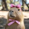 Иконка канала Капибара Капибара