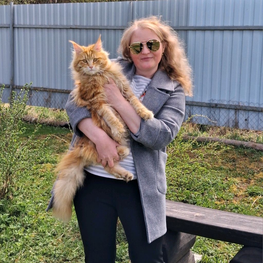 Аватар автора