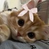 Иконка канала ★♪АРина♪★