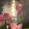Иконка канала 🌷~🌿𝙵𝚊𝚖𝚒𝚕𝚢 𝚜𝚑𝚘𝚠 𝙰𝚆🍡~🌴