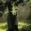 Иконка канала WildLoki