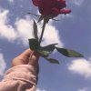 Иконка канала 🌸Луна🌸
