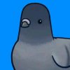Иконка канала Pigeon Play