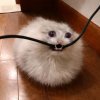Иконка канала channel74942539