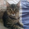Иконка канала Муньчикен117