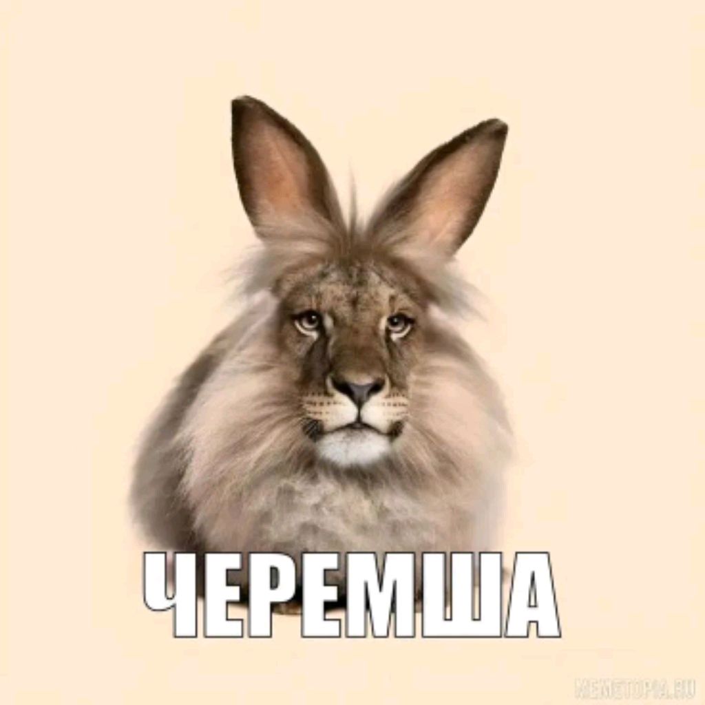 Аватар