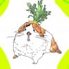 Иконка канала Маргошины Свинки 🐹