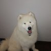 Иконка канала BUUU_ISPUGALSYA С Другом Гриша nth