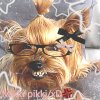 Иконка канала Mikki pikki/xD