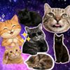Иконка канала 😻Банда котиков😻 ✅