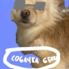 Иконка канала Собачка Белка