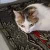 Иконка канала Тимур ∞♪