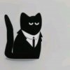 Иконка канала Magic Cat Bro