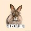 Иконка канала RutubPomoika