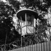 Иконка канала Лиинахамари